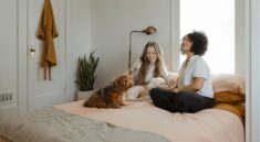 Moving with Your Pet: A Step-by-Step Guide